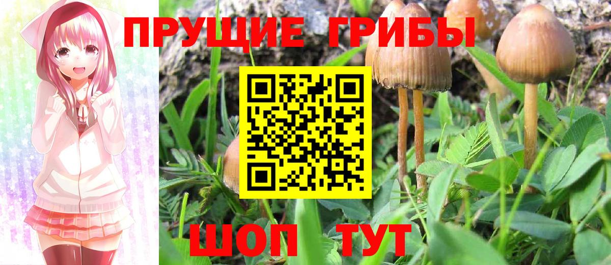 Псилоцибиновые грибы Magic Shrooms  Вход с VPN  Лыткарино 
